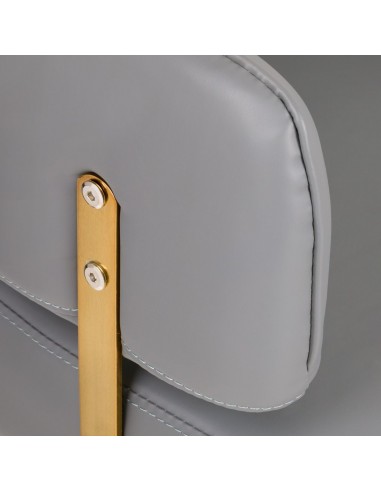 GABBIANO HAIRDRESSING CHAIR LINZ GOLDEN GRAY