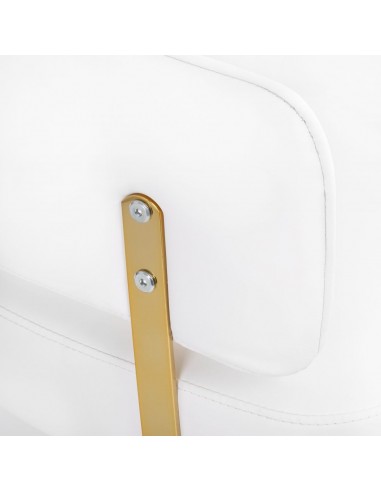 GABBIANO HAIRDRESSING CHAIR LINZ GOLDEN WHITE