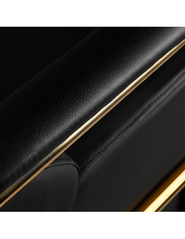 GABBIANO WASHBASINS MAYKA GOLDEN BLACK