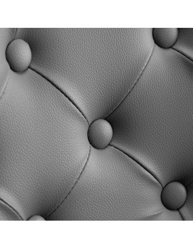 GABBIANO GRANADA GOLD GRAY HAIRDRESSING CHAIR