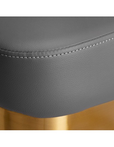 GABBIANO GRANADA GOLD GRAY HAIRDRESSING CHAIR