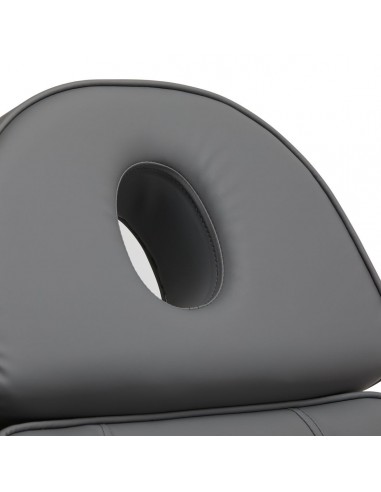 SILLON LUX 273B ELECTRIC COSMETIC BED 3 GRAY MOTORS GRAY BASE