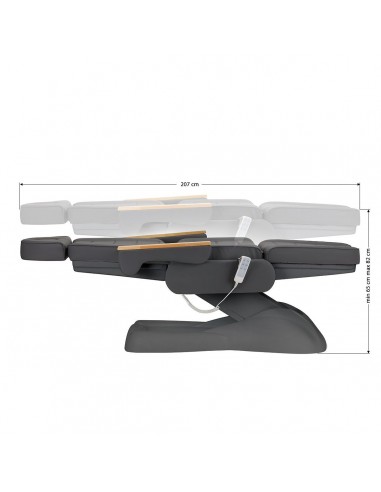 SILLON LUX 273B ELECTRIC COSMETIC BED 3 GRAY MOTORS GRAY BASE