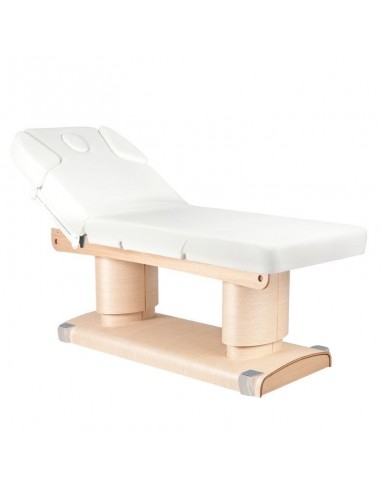 SPA BEAUTY LOUNGER AZZURO 838 4 MOTORS HEATED