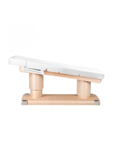 SPA BEAUTY LOUNGER AZZURO 838 4 MOTORS HEATED