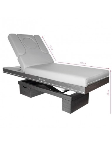 SPA BEAUTY LOUNGER AZZURRO 815B GLOWING GRAY WOOD HEATED