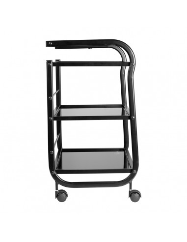 TATTOO ASSISTANT PRO INK 1013 BLACK