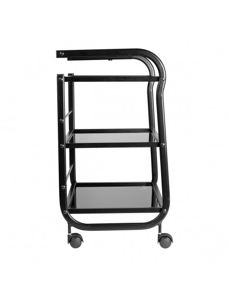 TATTOO ASSISTANT PRO INK 1013 BLACK