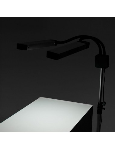 LED lamp for eyelashes and makeup polluks ii type msp-ld01
