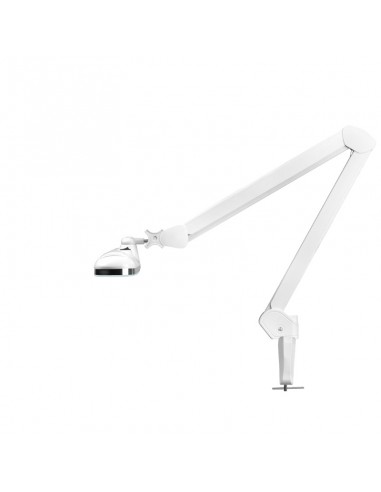 Elegant LED workshop lamp 801 l with a vice reg. white light intensity