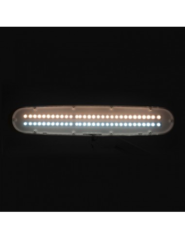 Elegant 801-tl led work lamp with a vice reg. white light intensity and color