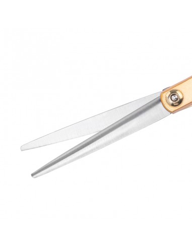 SNIPPEX HAIR SCISSORS 6.0 GOLD