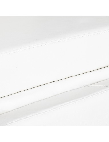 COSMETIC CHAIR EXPERT W-16B 3 WHITE MOTORS