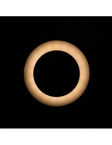 SNAKE RING LED LAMP LAMP ON A DESK BLACK