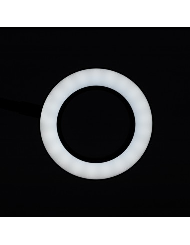 SNAKE RING LED LAMP LAMP ON A DESK BLACK