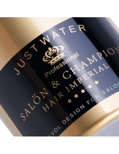 HAIRDRESSING SPRAYER CHAMPAGNE GOLD 350 ML
