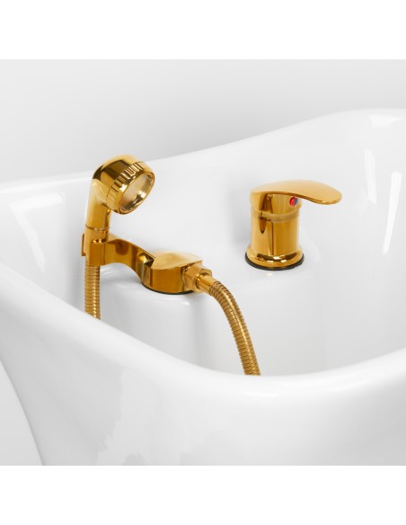 GABBIANO HAIR WASH UNIT EMMA BLACK GOLD