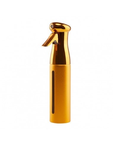 HAIRDRESSING SPRAY PRO GOLD 300ML