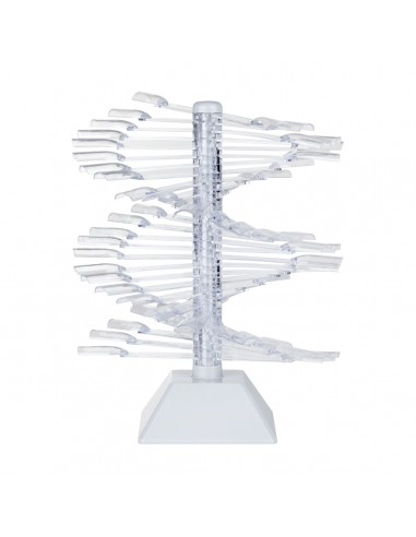 NAIL STENCIL ON WHEEL WZ23