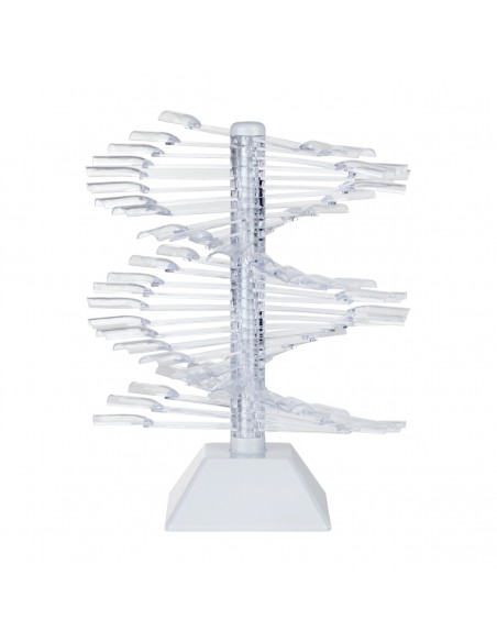 NAIL STENCIL ON WHEEL WZ23