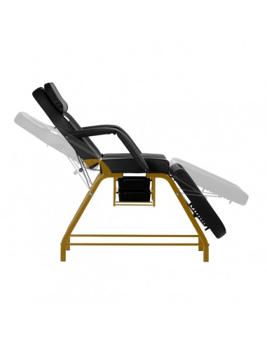 Cosmetic chair 557G with cuvettes black