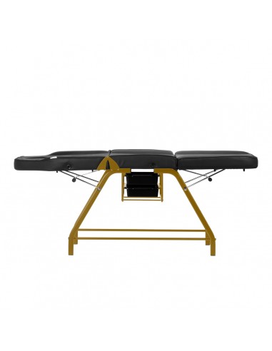 Cosmetic chair 557G with cuvettes black