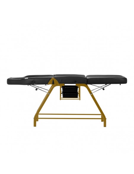 Cosmetic chair 557G with cuvettes black