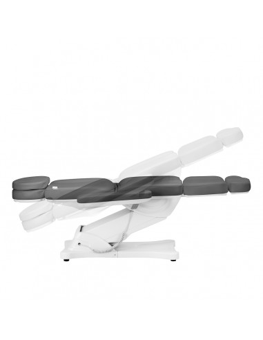 Electric cosmetic chair SILLON CLASSIC 4 motors with cradle gray