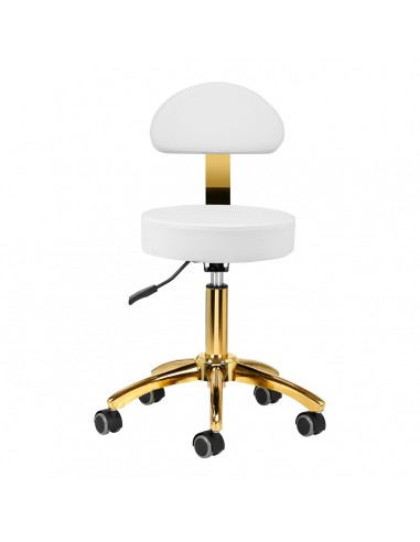 Cosmetic stool AM-304G white