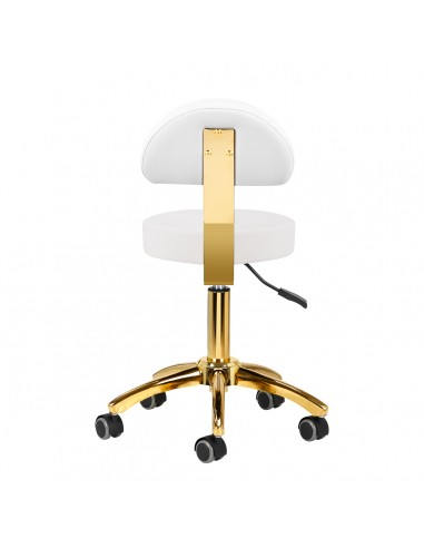Cosmetic stool AM-304G white