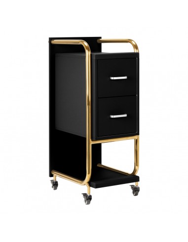 Gabbiano hairdressing assistant Solo gold – black