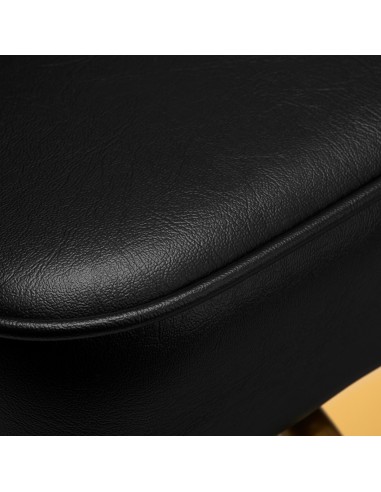 Hairdressing chair Gabbiano Linz NQ Gold Black