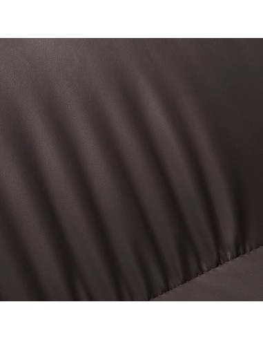 Gabbiano electric hairdressing wash unit TRYCHO brown