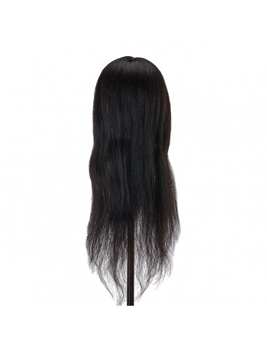 Gabbiano WZ1 hairdressing training head, natural hair, color 1, length 20"
