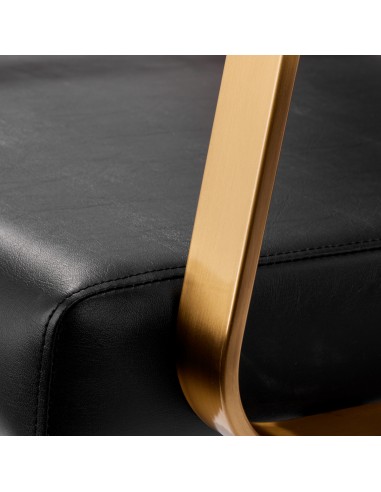 Gabbiano Porto-GM hair wash unit black