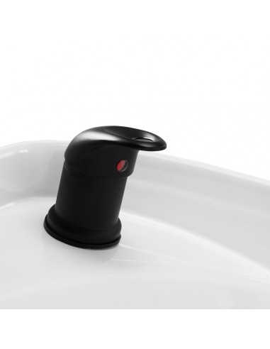 Gabbiano Porto-GM hair wash unit black