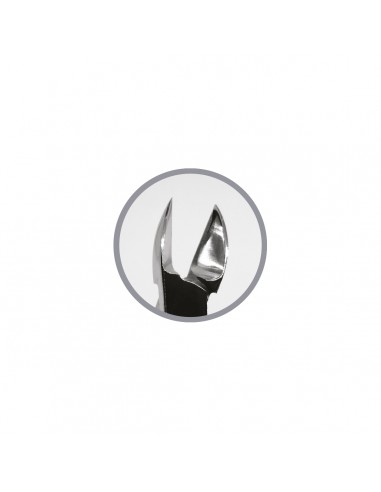 Podoland pliers 02