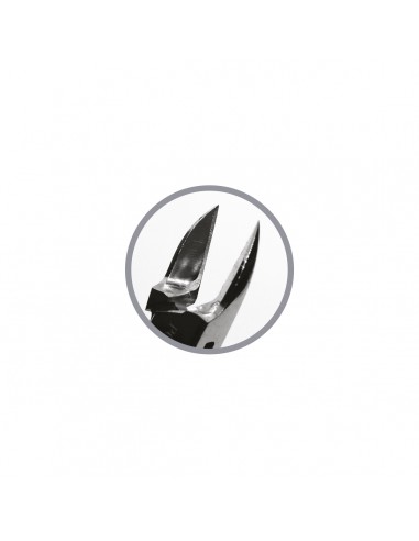 Podoland pliers 01