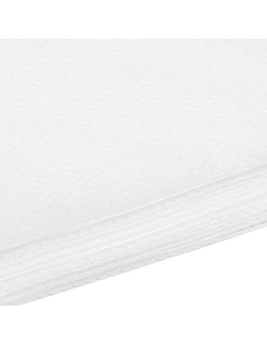 Disposable filter for Saeyang dust absorber Marathon Olimp 65W 50 pieces