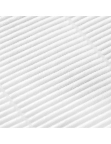 Hepa filter for Saeyang dust absorber Marathon Olimp 65W