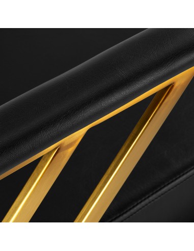 Gabbiano hairdressing chair Genua gold black