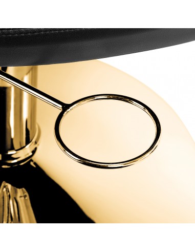 Hairdressing chair Gabbiano Parma Gold Black