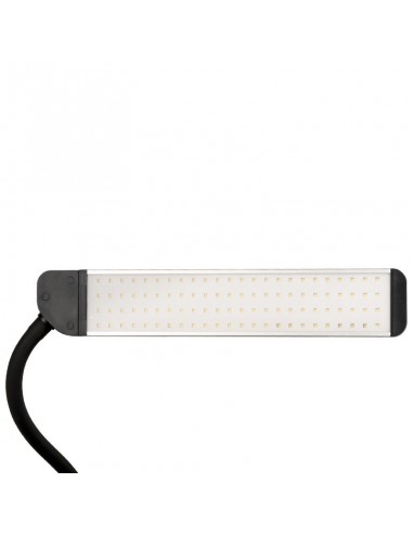 LED lamp for eyelashes and makeup polluks ii type msp-ld01
