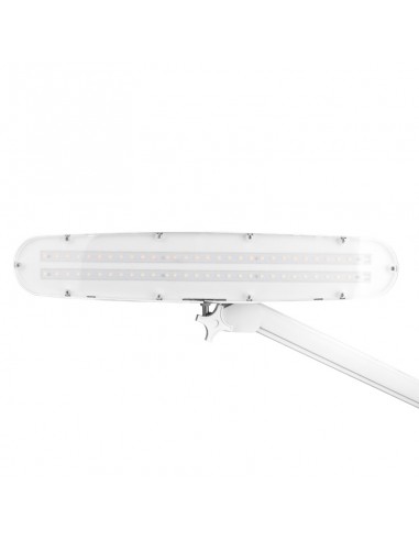 Elegant LED workshop lamp 801 l with a vice reg. white light intensity