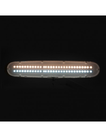 Elegant 801-tl led work lamp with a vice reg. white light intensity and color