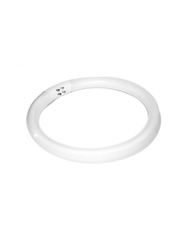 Incandescent lamp (fluorescent) 22w magnifier lamp s4