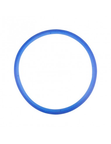 Lafomed silicone gasket for autoclaves 8l