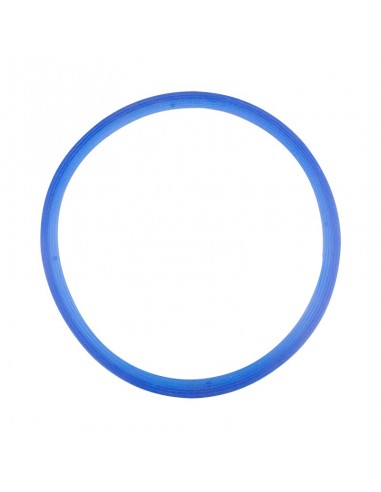 Lafomed silicone gasket for autoclaves 12l