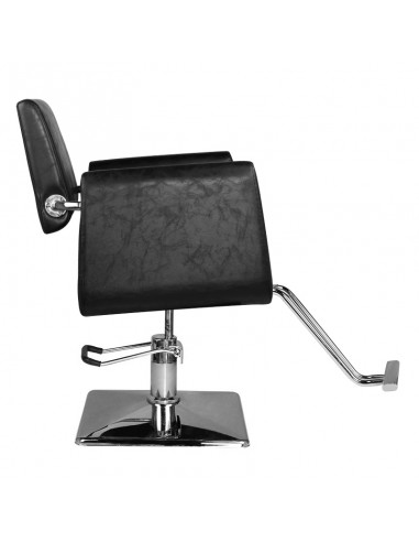 Hair system hairdressing chair sm313 black