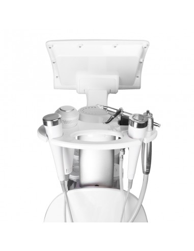 Yoshida lotus 5in1 hydrogen purification device